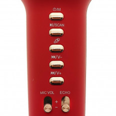 Микрофон беспроводной WS-900 красный WSTER 100 Гц-10 кГц.Bluetooth, динамики, USB,micro. AUX,TF,время работы до 2.5ч. мощность 5 Вт.