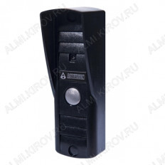 Видеопанель AVP-505(PAL) вызывная черная Activision