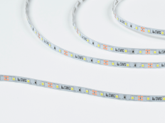 Лента светодиодная SWG260-12-4.8-W-M 12V White6000 (007261) белый холодный 12V 4.8W/m 2835*60 SWG IP20; 60 LED/м; 410Lm/м; ширина 8мм